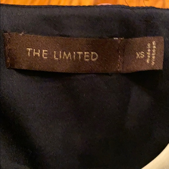 The Limited Dress - Picture 3 of 4